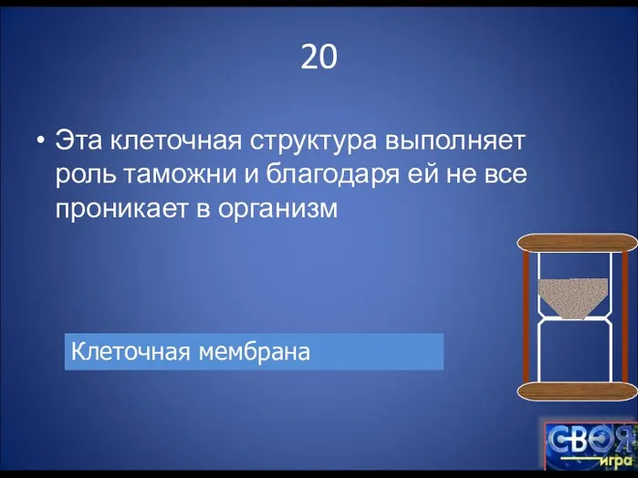 20 Эта клеточная структура выполняет роль таможни и благодаря ей