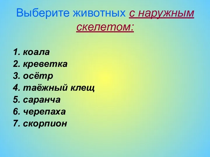 Выберите животных с наружным скелетом: 1. коала 2. креветка 3.