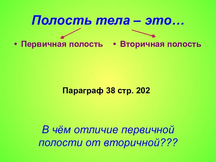 Полость тела – это… Первичная полость Вторичная полость Параграф 38