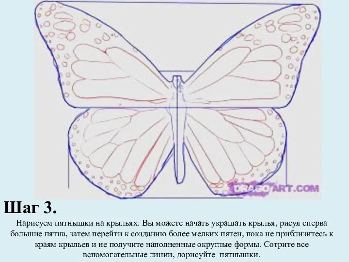 Шаг 3. Нарисуем пятнышки на крыльях. Вы можете начать украшать