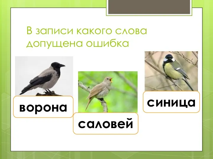 В записи какого слова допущена ошибка ворона саловей синица