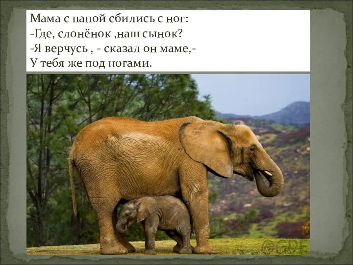 Мама с папой сбились с ног: -Где, слонёнок ,наш сынок?