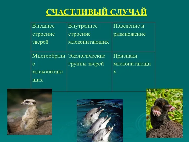 СЧАСТЛИВЫЙ СЛУЧАЙ