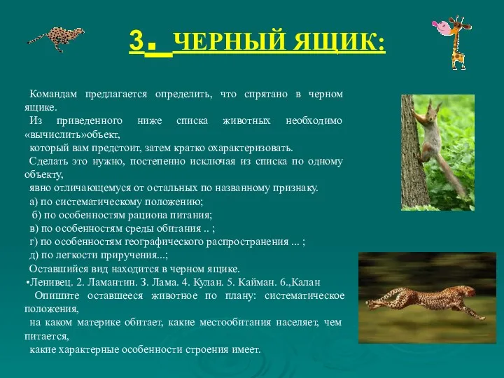 3. ЧЕРНЫЙ ЯЩИК: Командам предлагается определить, что спрятано в черном