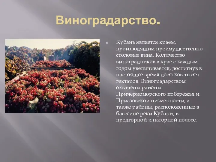 Виноградарство. Кубань является краем, производящим преимущественно столовые вина. Количество виноградников