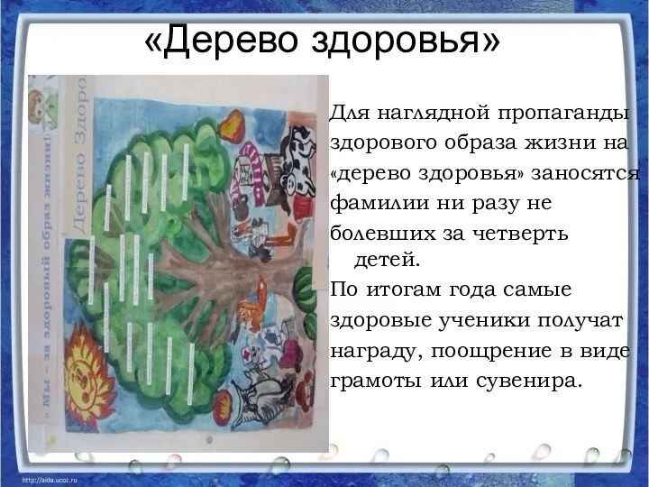 «Дерево здоровья» Для наглядной пропаганды здорового образа жизни на «дерево