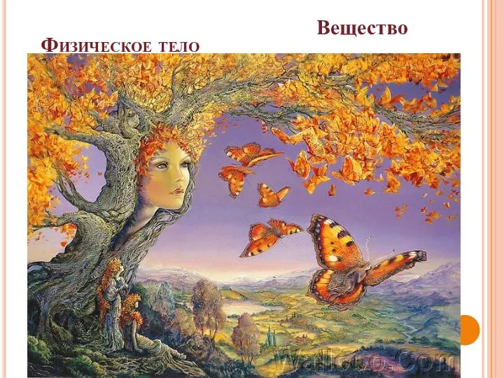 Физическое тело Вещество