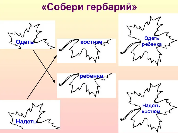 «Собери гербарий» Одеть Надеть ребенка костюм Одеть ребенка Надеть костюм