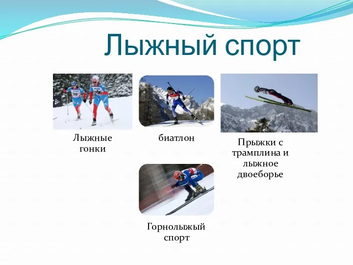 Лыжный спорт