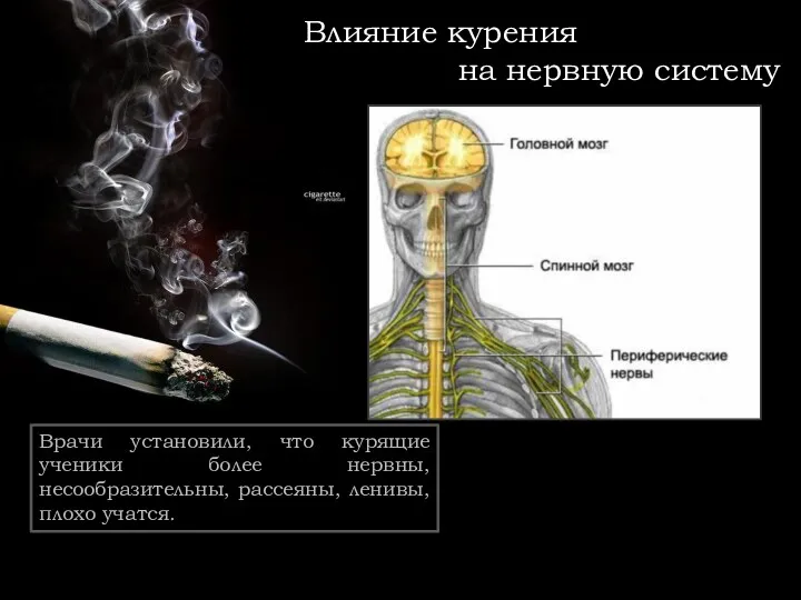 Влияние курения на нервную систему Врачи установили, что курящие ученики