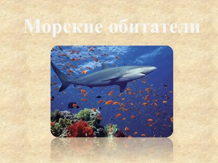 Морские обитатели