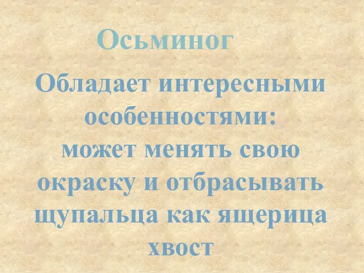 Осьминог Обладает интересными особенностями: может менять свою окраску и отбрасывать щупальца как ящерица хвост