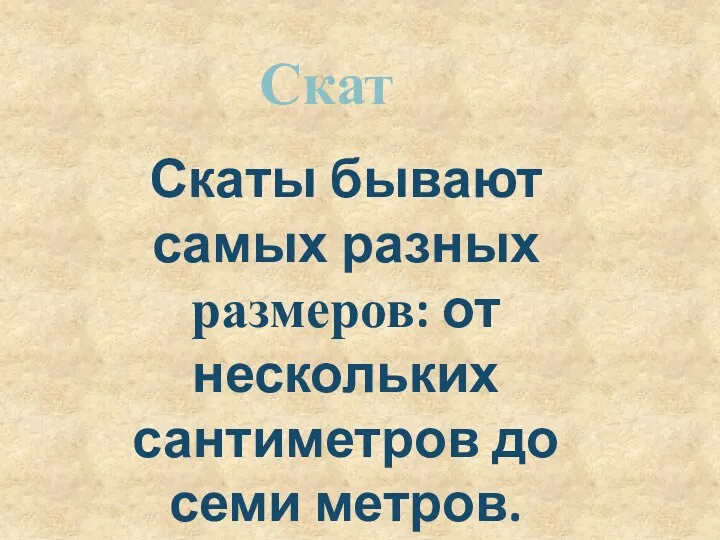 Скат Скаты бывают самых разных размеров: от нескольких сантиметров до семи метров.