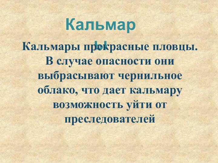 Кальмары Кальмары прекрасные пловцы. В случае опасности они выбрасывают чернильное