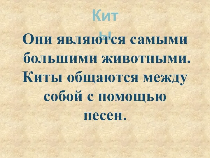 Киты Они являются самыми большими животными. Киты общаются между собой с помощью песен.