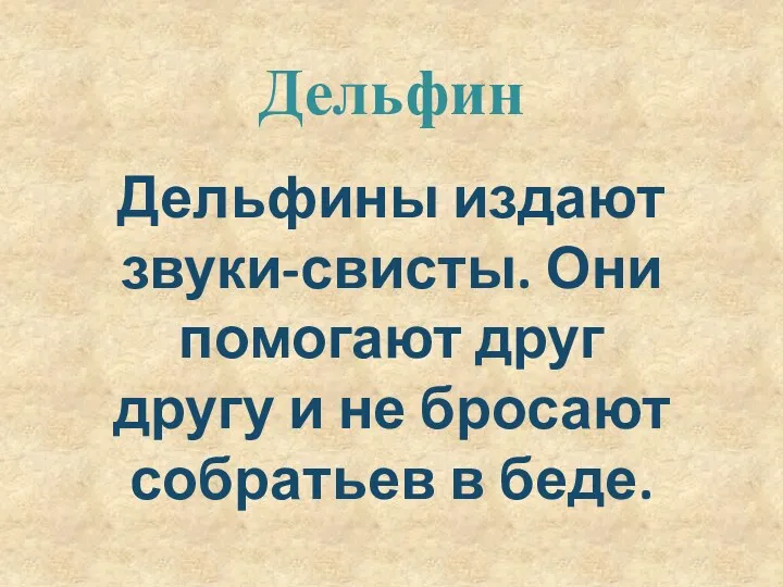 Дельфин Дельфины издают звуки-свисты. Они помогают друг другу и не бросают собратьев в беде.