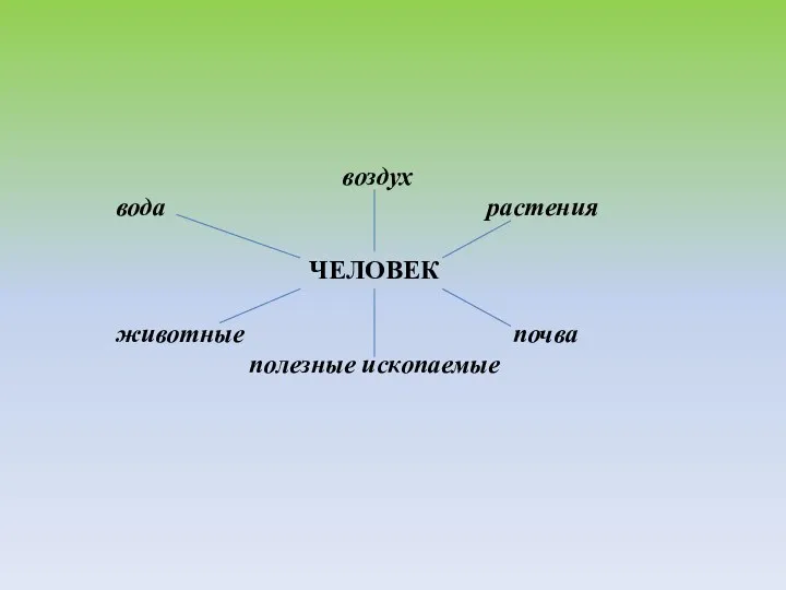 воздух вода растения ЧЕЛОВЕК животные почва полезные ископаемые