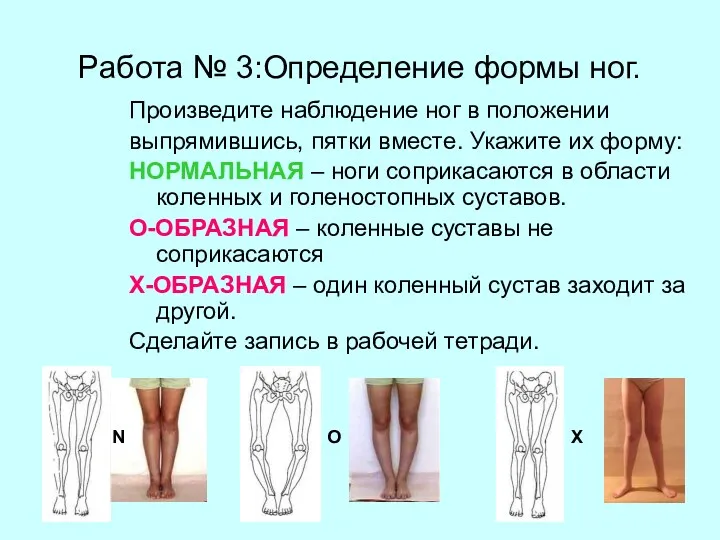 Работа № 3:Определение формы ног. Произведите наблюдение ног в положении