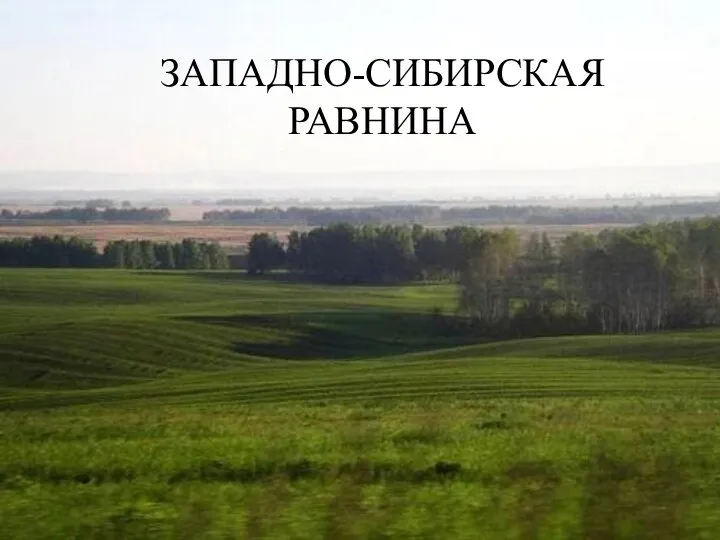 ЗАПАДНО-СИБИРСКАЯ РАВНИНА