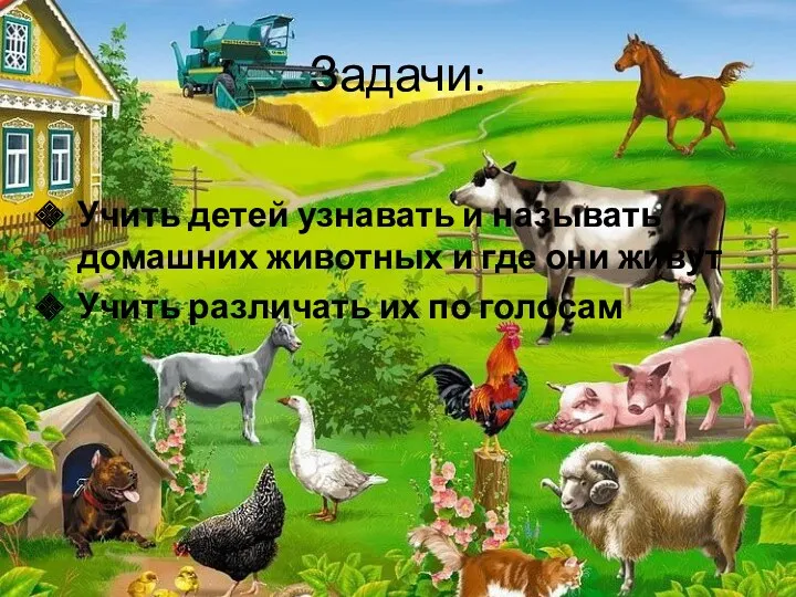 Задачи: Учить детей узнавать и называть домашних животных и где они живут Учить