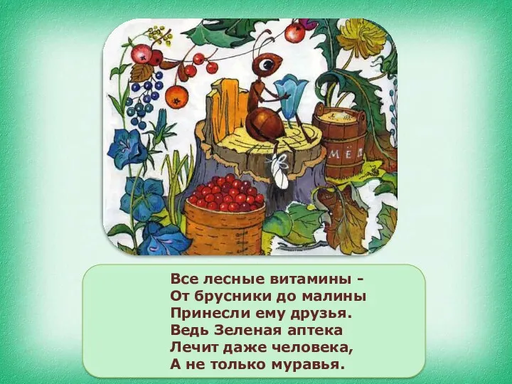 Все лесные витамины - От брусники до малины Принесли ему друзья. Ведь Зеленая