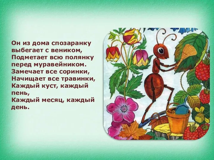 Он из дома спозаранку выбегает с веником, Подметает всю полянку перед муравейником. Замечает