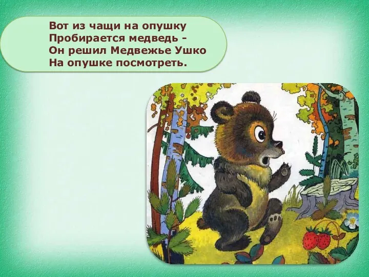 Вот из чащи на опушку Пробирается медведь - Он решил Медвежье Ушко На опушке посмотреть.