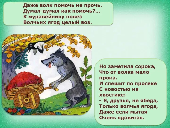 Даже волк помочь не прочь. Думал-думал как помочь?... К муравейнику повез Волчьих ягод