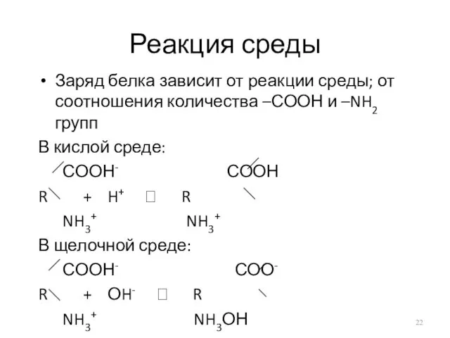 Реакция среды Заряд белка зависит от реакции среды; от соотношения