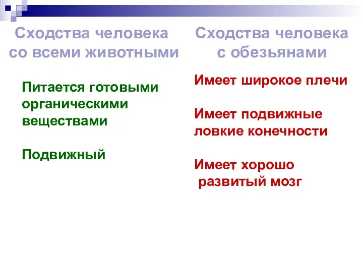 Сходства человека со всеми животными Сходства человека с обезьянами Питается