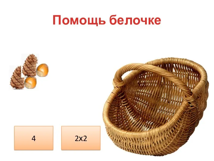 Помощь белочке 2х2 4