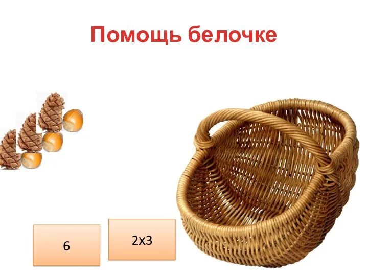 Помощь белочке 2х3 6