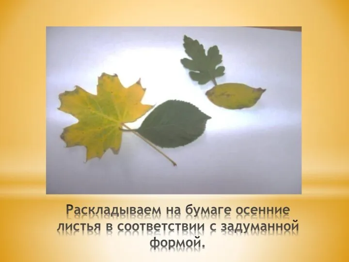 Раскладываем на бумаге осенние листья в соответствии с задуманной формой.