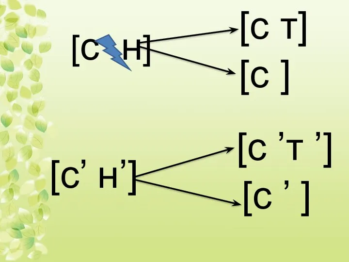 [с н] [с’ н’] [с т] [с ] [с ’т ’] [с ’ ]