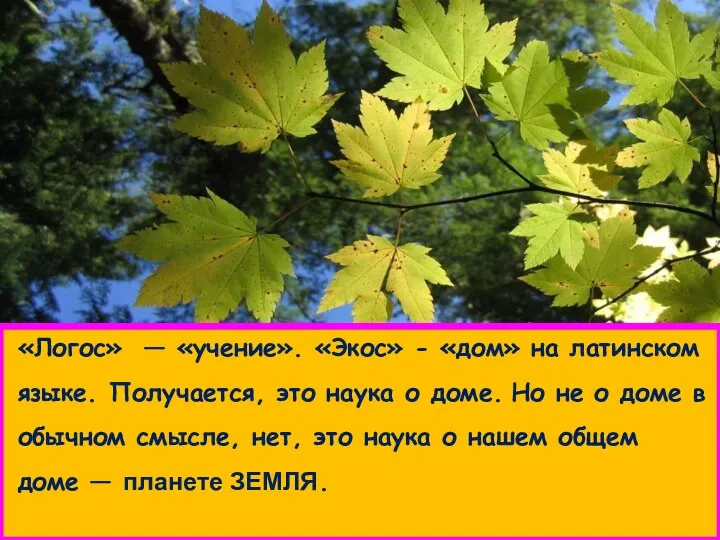 «Логос» — «учение». «Экос» - «дом» на латинском языке. Получается, это наука о