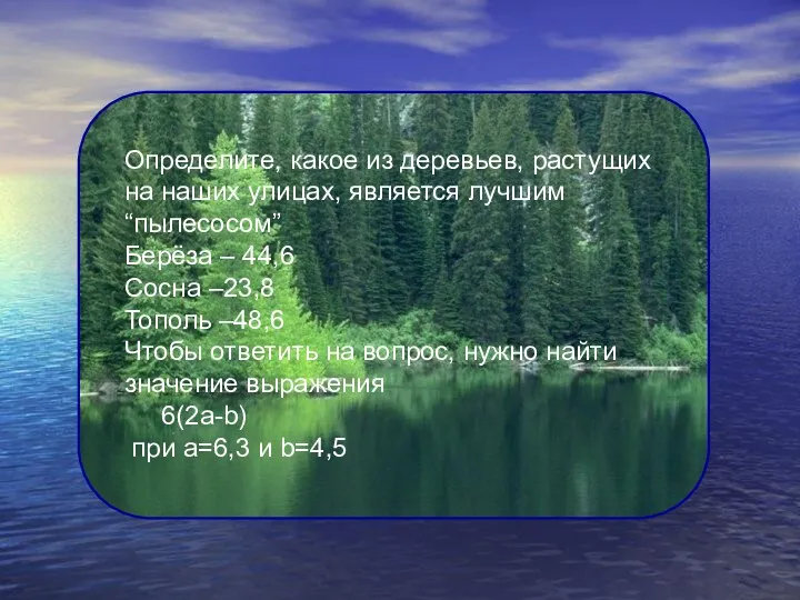 Определите, какое из деревьев, растущих на наших улицах, является лучшим “пылесосом” Берёза –