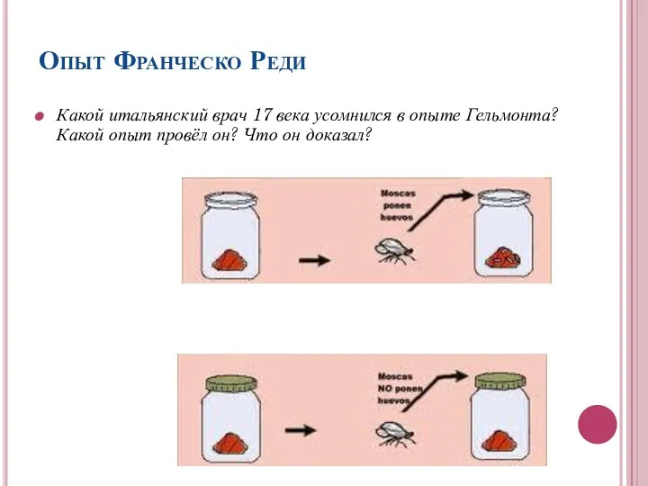 Опыт Франческо Реди Какой итальянский врач 17 века усомнился в