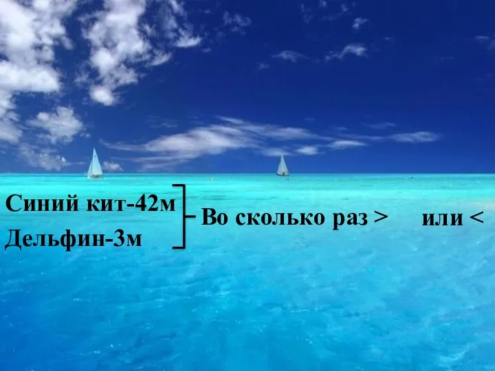 Синий кит-42м Дельфин-3м Во сколько раз > или