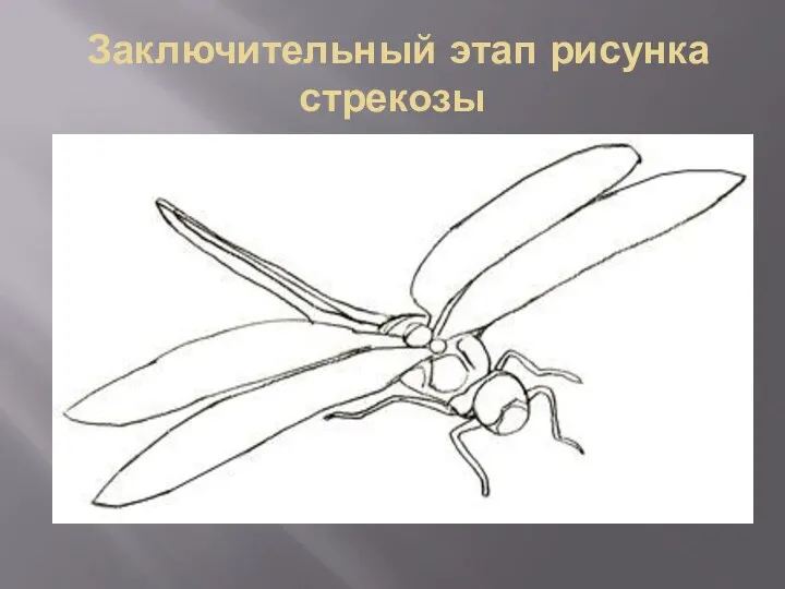 Заключительный этап рисунка стрекозы