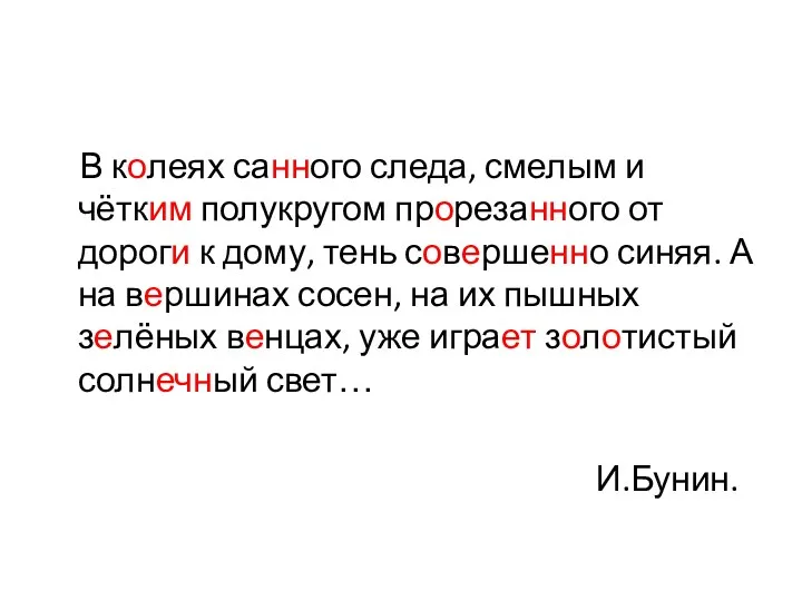 В колеях санного следа, смелым и чётким полукругом прорезанного от