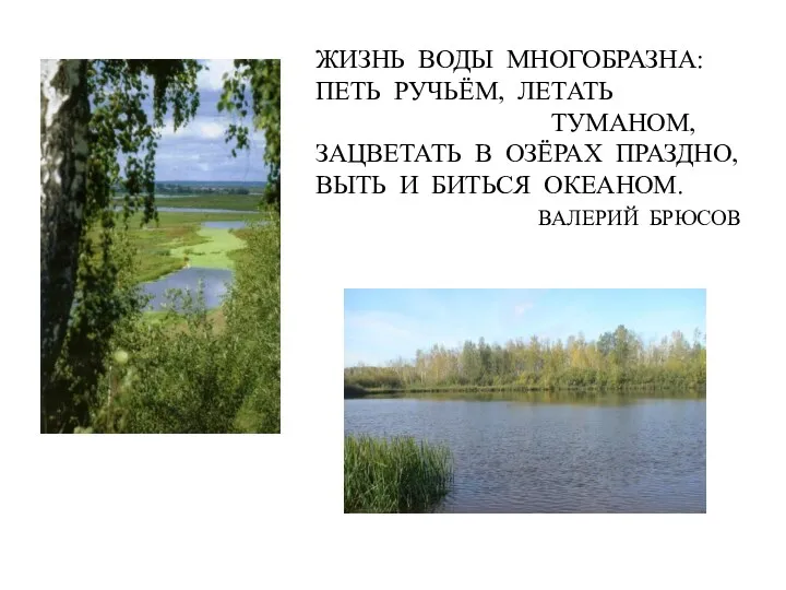 ЖИЗНЬ ВОДЫ МНОГОБРАЗНА: ПЕТЬ РУЧЬЁМ, ЛЕТАТЬ ТУМАНОМ, ЗАЦВЕТАТЬ В ОЗЁРАХ