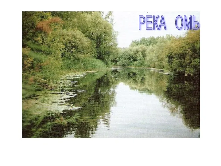 РЕКА ОМЬ