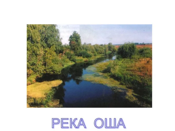 РЕКА ОША