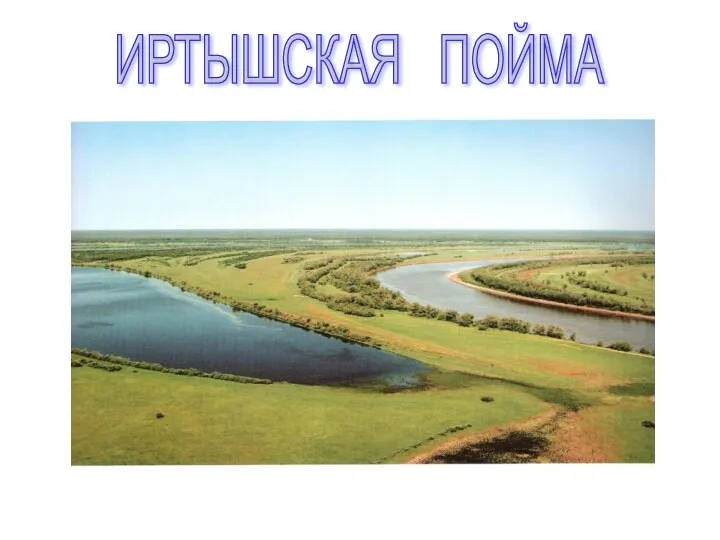 ИРТЫШСКАЯ ПОЙМА