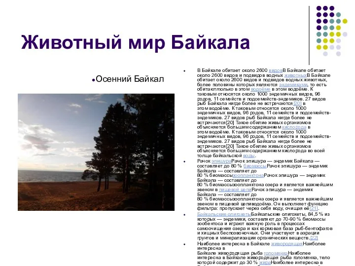 Животный мир Байкала В Байкале обитает около 2600 видовВ Байкале