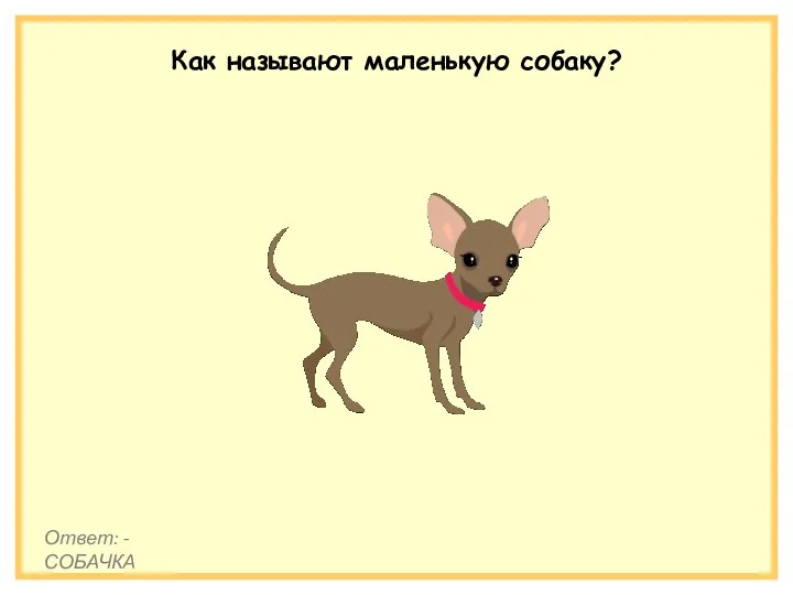 Как называют маленькую собаку? Ответ: - СОБАЧКА