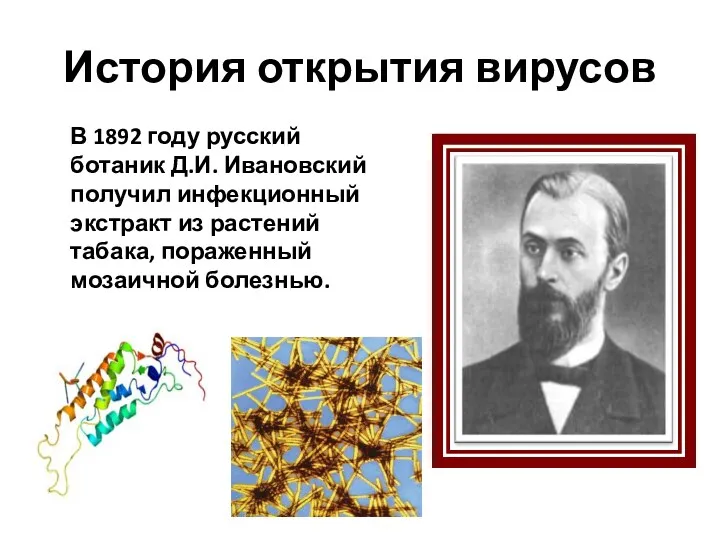 История открытия вирусов В 1892 году русский ботаник Д.И. Ивановский