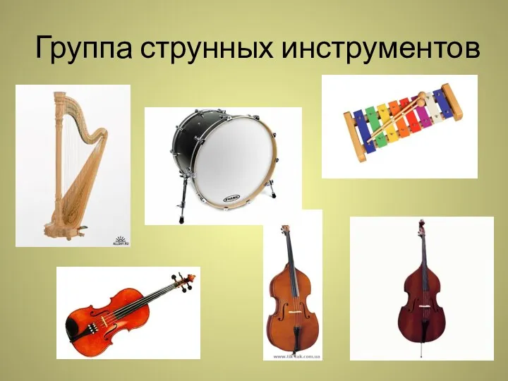 Группа струнных инструментов