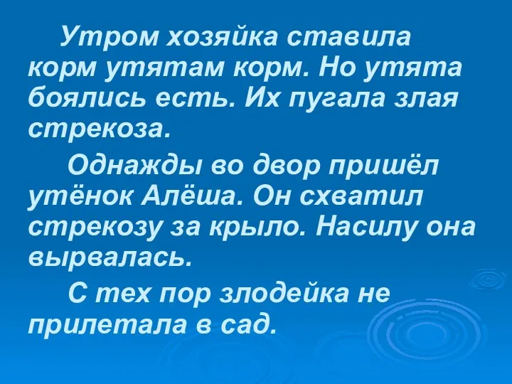 Утром хозяйка ставила корм утятам корм. Но утята боялись есть.