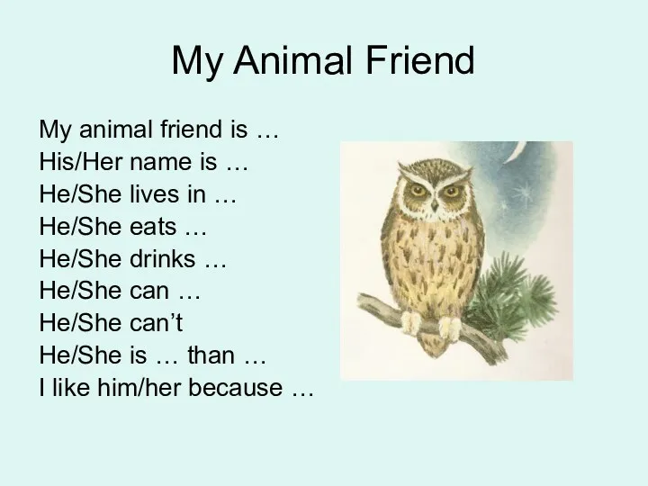 My Animal Friend My animal friend is … His/Her name